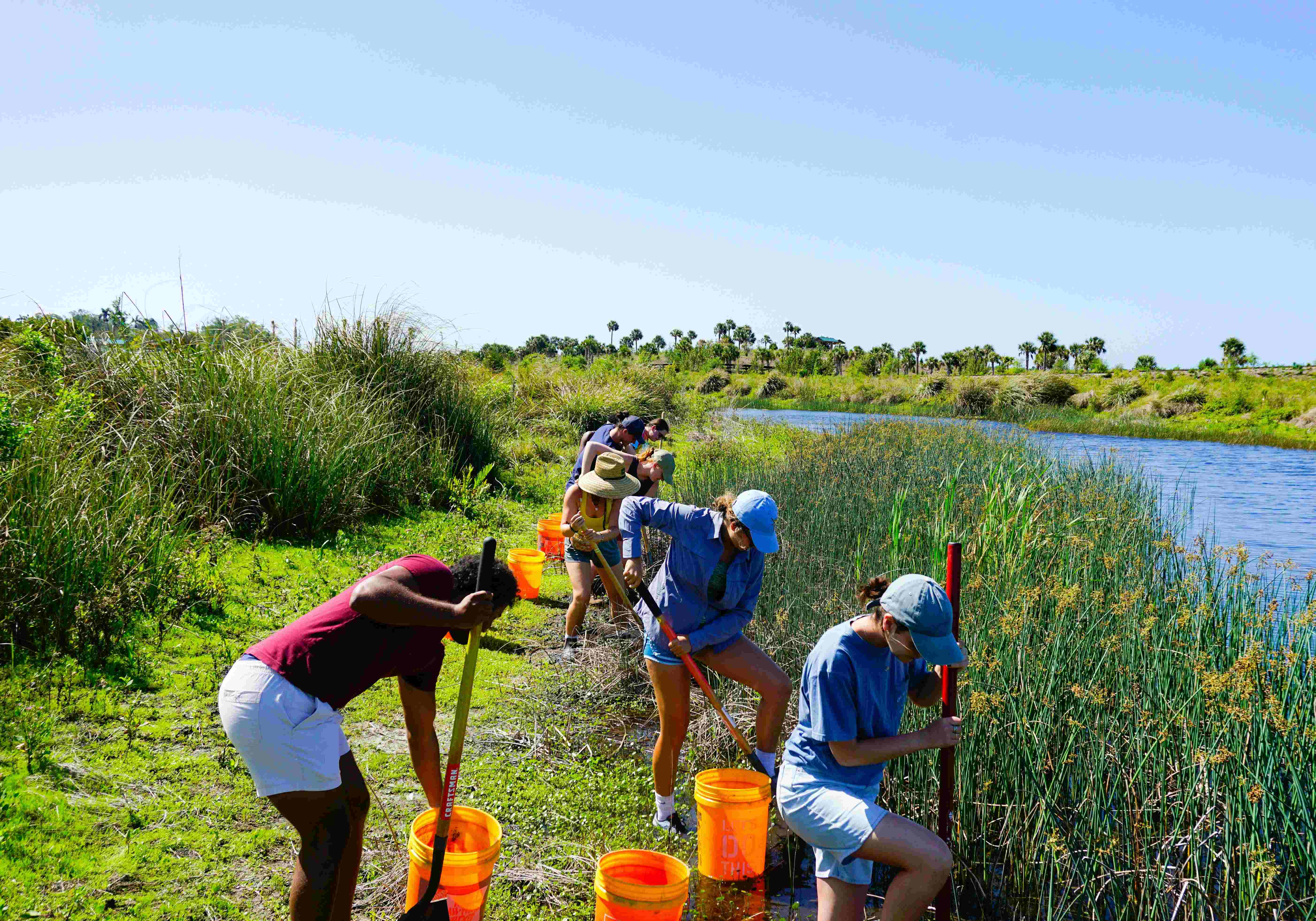 the tampa bay estuary program CxL29J aM5E unsplash 1 1